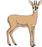 Gif animé gazelle marron clair